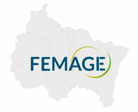 Logo - Femage